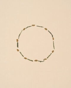 BLD-GENMAT_loose_ring