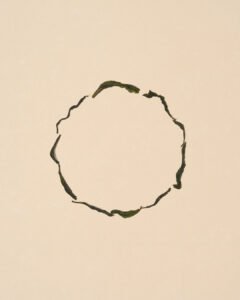 OOL-KOS_loose_ring
