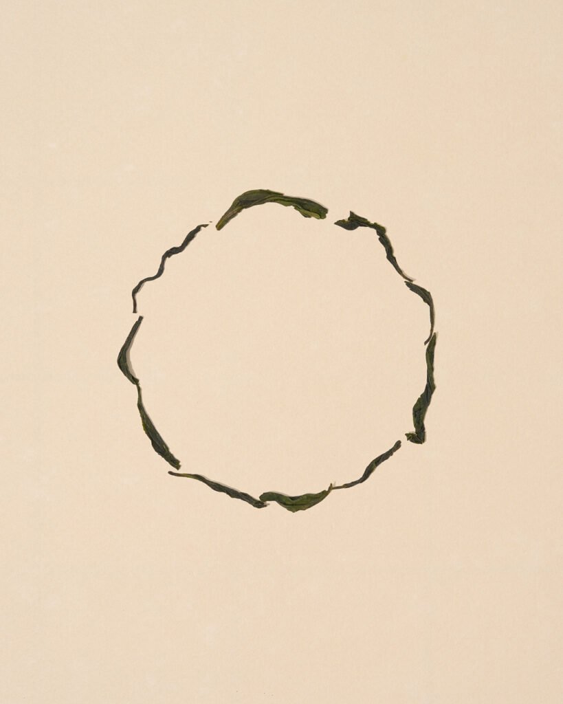OOL-KOS_loose_ring