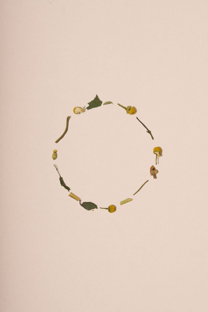 ESTE_HERBAL_TEA_CHAMOMILE-BLEND_Stroke