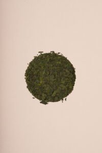 Mint Mint