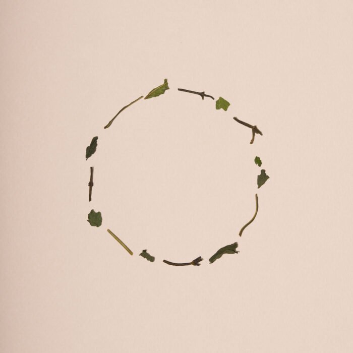 ESTE_HERBAL_TEA_MINT-BLEND_Stroke