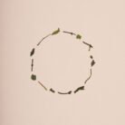 ESTE_HERBAL_TEA_MINT-BLEND_Stroke