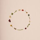 ESTE_HERBAL_TEA_ROSEHIP_Stroke
