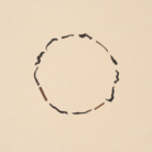 Saitama black tea leaves arranged in a ring